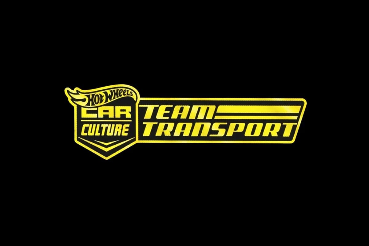 HOT WHEELS TEAM TRANSPORT