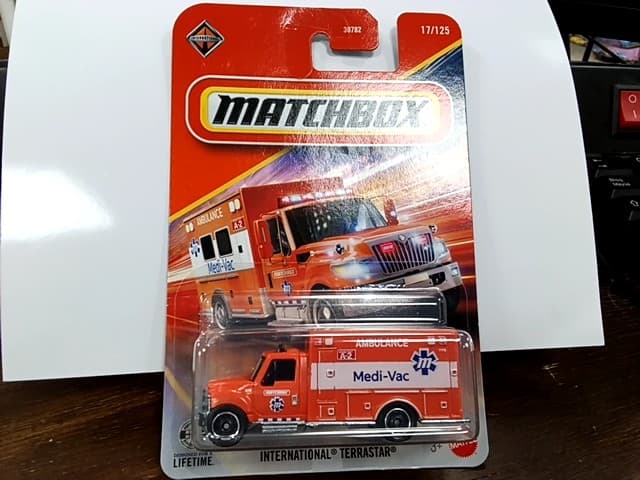 INTERNATIONAL TERRASTAR