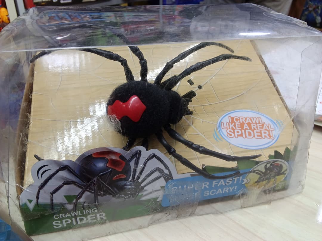 CRAWLING SPIDER