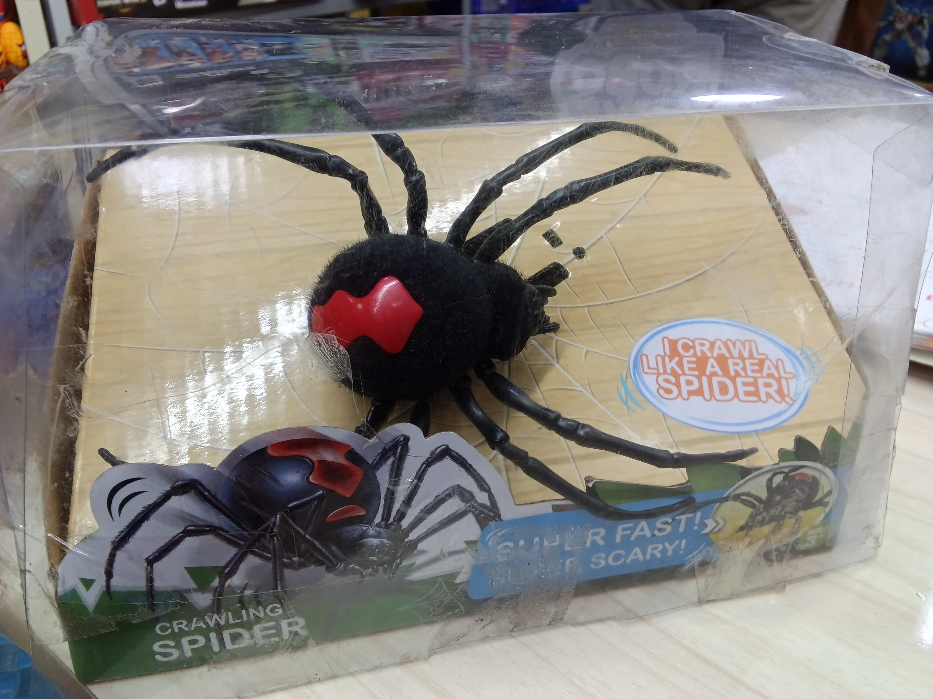 CRAWLING SPIDER