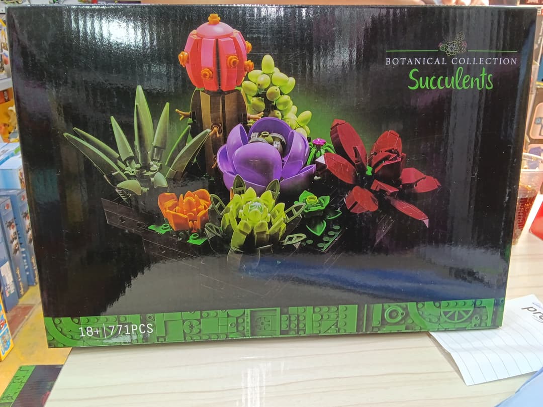 BOTANICAL COLLECTION SUCCULENTS