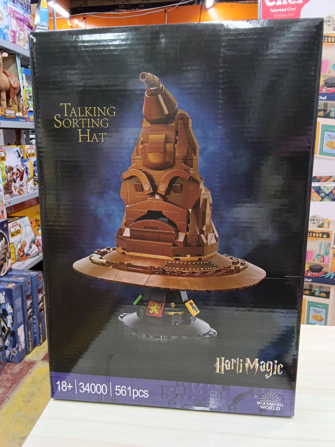 TALKING SORTING HAT HARRY 34000