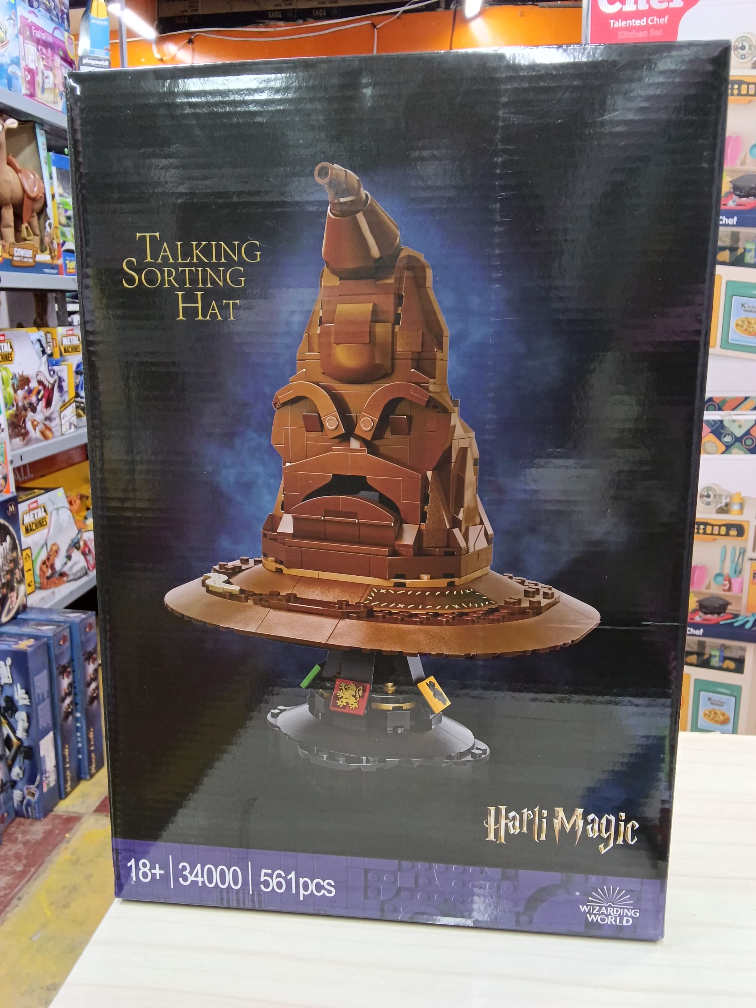 TALKING SORTING HAT HARRY 34000